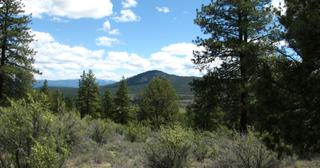 1.47 acres of land for sale in Klamath County, Oregon - SRVA B5 L36, photo 11 of 13