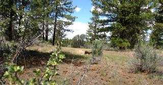 1.47 acres of land for sale in Klamath County, Oregon - SRVA B5 L36, photo 12 of 13