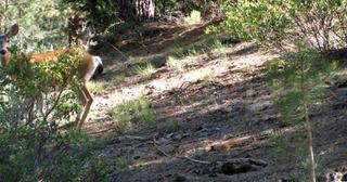1.47 acres of land for sale in Klamath County, Oregon - SRVA B5 L36, photo 13 of 13