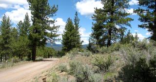 1.47 acres of land for sale in Klamath County, Oregon - SRVA B5 L36, photo 3 of 13