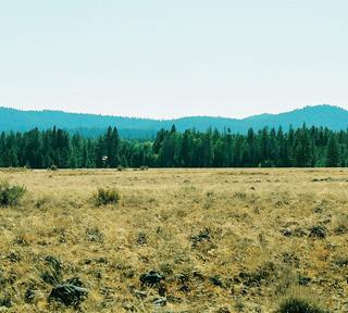 10.57 acres of land for sale in Klamath County, Oregon - Sycan B16 L7B