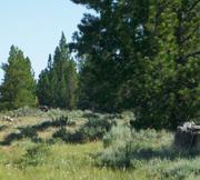 9.98 acres of land for sale in Klamath County, Oregon - Sycan B2 L8C