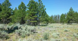 9.98 acres of land for sale in Klamath County, Oregon - Sycan B2 L8C, photo 5 of 10