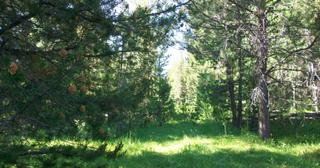 9.98 acres of land for sale in Klamath County, Oregon - Sycan B2 L8C, photo 7 of 10