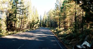 9.89 acres of land for sale in Klamath County, Oregon - Sycan B14 L3D, photo 3 of 11
