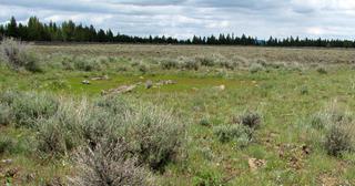 9.89 acres of land for sale in Klamath County, Oregon - Sycan B14 L3D, photo 5 of 11