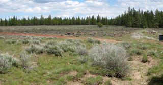 9.89 acres of land for sale in Klamath County, Oregon - Sycan B14 L3D, photo 7 of 11