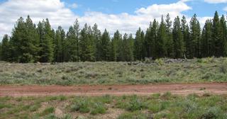 9.89 acres of land for sale in Klamath County, Oregon - Sycan B14 L3D, photo 10 of 11