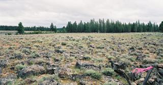9.66 acres of land for sale in Klamath County, Oregon - Sycan B2 L2D, photo 6 of 12