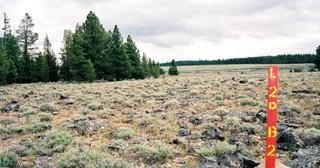 9.66 acres of land for sale in Klamath County, Oregon - Sycan B2 L2D, photo 7 of 12