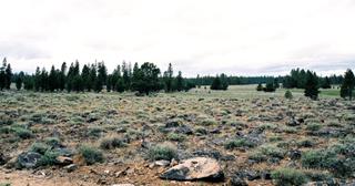 9.66 acres of land for sale in Klamath County, Oregon - Sycan B2 L2D, photo 8 of 12