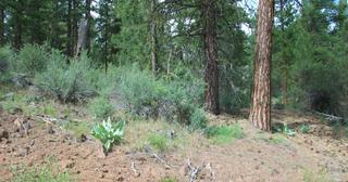 2.09 acres of land for sale in Klamath County, Oregon - KFFE B116 L3, photo 1 of 20