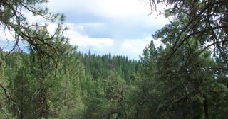 2.09 acres of land for sale in Klamath County, Oregon - KFFE B116 L3, photo 9 of 20
