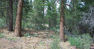 2.09 acres of land for sale in Klamath County, Oregon - KFFE B116 L3, photo 10 of 20