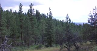 2.09 acres of land for sale in Klamath County, Oregon - KFFE B116 L3, photo 12 of 20