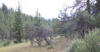 2.09 acres of land for sale in Klamath County, Oregon - KFFE B116 L3, photo 14 of 20
