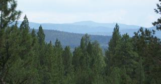 2.09 acres of land for sale in Klamath County, Oregon - KFFE B116 L3, photo 15 of 20