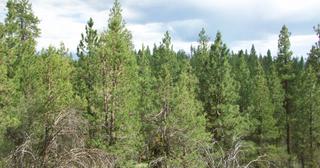 2.09 acres of land for sale in Klamath County, Oregon - KFFE B116 L3, photo 16 of 20