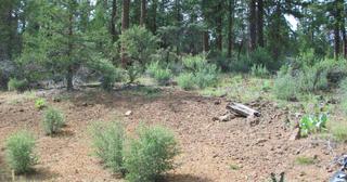 2.09 acres of land for sale in Klamath County, Oregon - KFFE B116 L3, photo 17 of 20