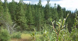 2.09 acres of land for sale in Klamath County, Oregon - KFFE B116 L3, photo 19 of 20