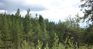 2.09 acres of land for sale in Klamath County, Oregon - KFFE B116 L3, photo 20 of 20