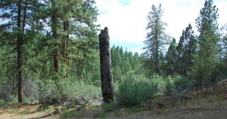 2.09 acres of land for sale in Klamath County, Oregon - KFFE B116 L3, photo 3 of 20