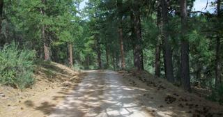 2.09 acres of land for sale in Klamath County, Oregon - KFFE B116 L3, photo 6 of 20