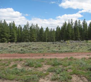9.89 acres of land for sale in Klamath County, Oregon - Sycan B14 L3D