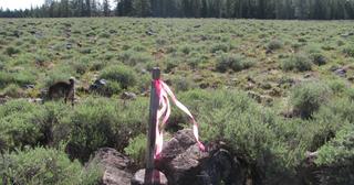 9.86 acres of land for sale in Klamath County, Oregon - Sycan B5 L17A, photo 2 of 10