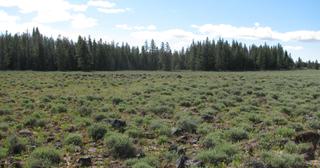 9.86 acres of land for sale in Klamath County, Oregon - Sycan B5 L17A, photo 4 of 10