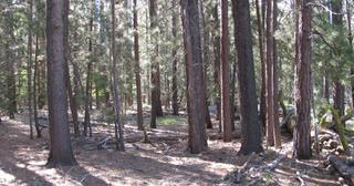 9.86 acres of land for sale in Klamath County, Oregon - Sycan B5 L17A, photo 10 of 10