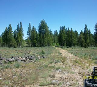 4.74 acres of land for sale in Klamath County, Oregon - Oregon Pines B30 L3&4