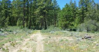 4.74 acres of land for sale in Klamath County, Oregon - Oregon Pines B30 L3&4, photo 2 of 12