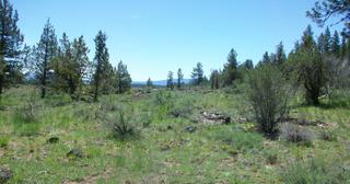 4.74 acres of land for sale in Klamath County, Oregon - Oregon Pines B30 L3&4, photo 5 of 12