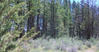 4.74 acres of land for sale in Klamath County, Oregon - Oregon Pines B30 L3&4, photo 8 of 12