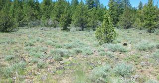 4.74 acres of land for sale in Klamath County, Oregon - Oregon Pines B30 L3&4, photo 12 of 12