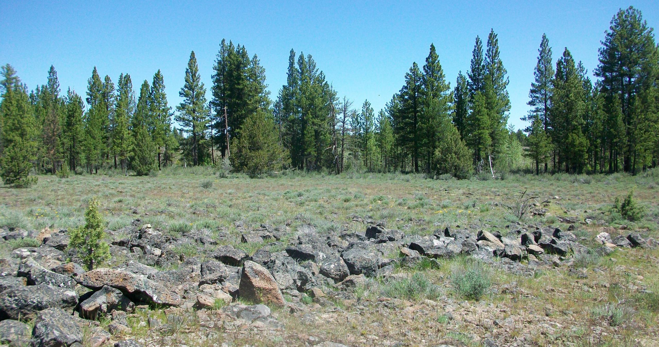 Oregon Pines B30 L3&4 - photo 3